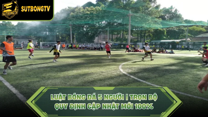 Luật Bóng Đá 5 Người